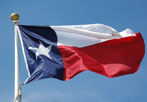 texas alamo flag